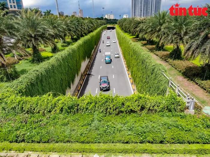 'Hầm chui xanh' độc đáo giữa lòng Thủ đô