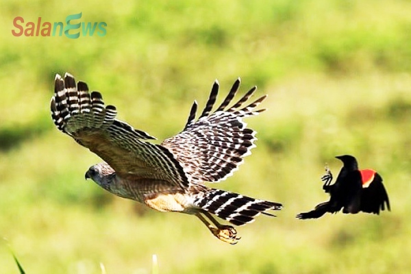 An nhàn như rượu độc sẽ hại chết bạn, hãy tự tạo cho mình một ‘vách núi’