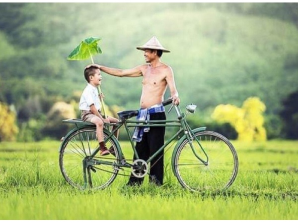 Con đường đẹp nhất trên đời chính là đường về nhà,..
