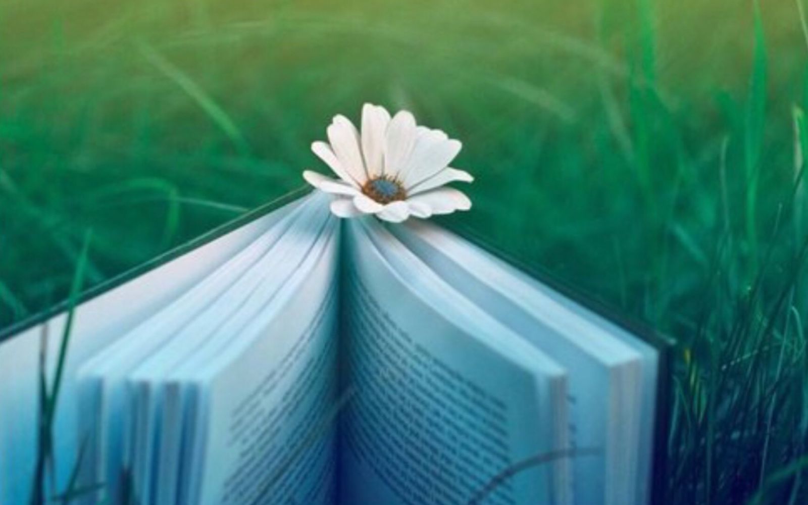 Đời người ngắn ngủi, bạn đã biết như thế nào là hạnh phúc? Người không cần thật đẹp, chỉ cần có tình yêu thương; người không cần phải thật giàu, chỉ cần cảm thấy ấm áp. Biết thỏa mãn, biết đạm bạc, đó chính là hạnh phúc.