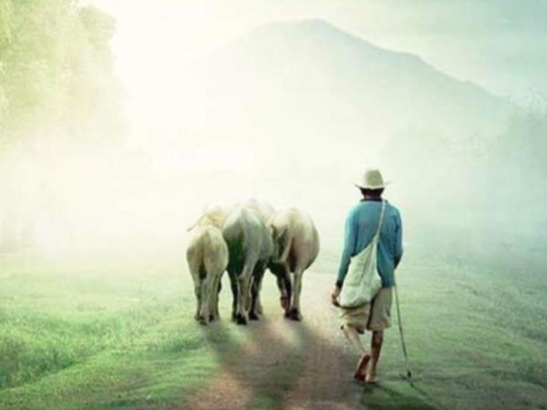 Con đường đẹp nhất trên đời chính là đường về nhà,..