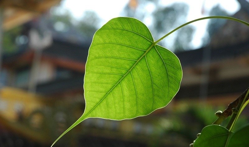 buoc-ngoat-de-khoi-dau 2