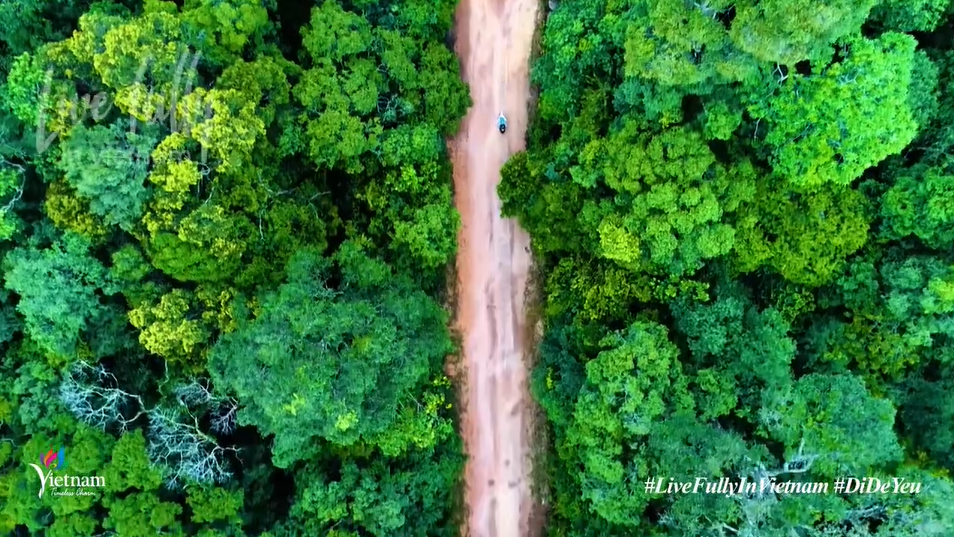 Cảnh sắc tuyệt đẹp trong video 'Việt Nam: Đi để yêu! - Sống trọn vẹn ở Việt Nam' 4