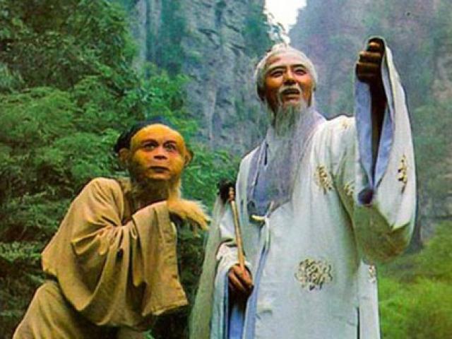 cây phất trần