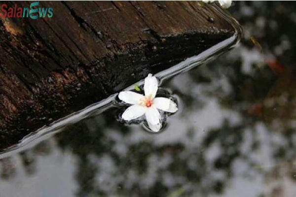 Cuộc sống của chúng ta, rốt cuộc đã bỏ lỡ những thứ gì?