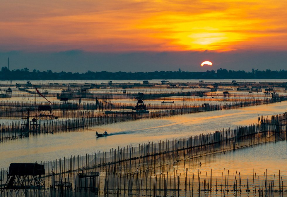 Săn Bình Minh Đẹp Mê Hoặc Trên Đầm Chuồn