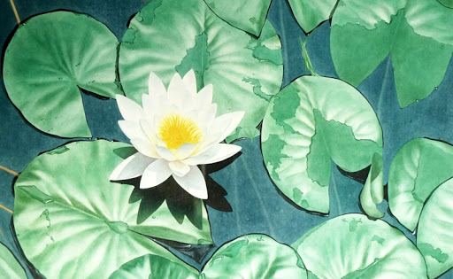 hon-thua-voi-ke-khac 1