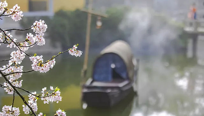 Nhận một giọt nước ân nghĩa, thì phải dùng cả con suối để đáp đền, đối với sự ủng hộ và giúp đỡ vô điều kiện của người nhà, chúng ta phải có lòng cảm ơn sâu sắc.