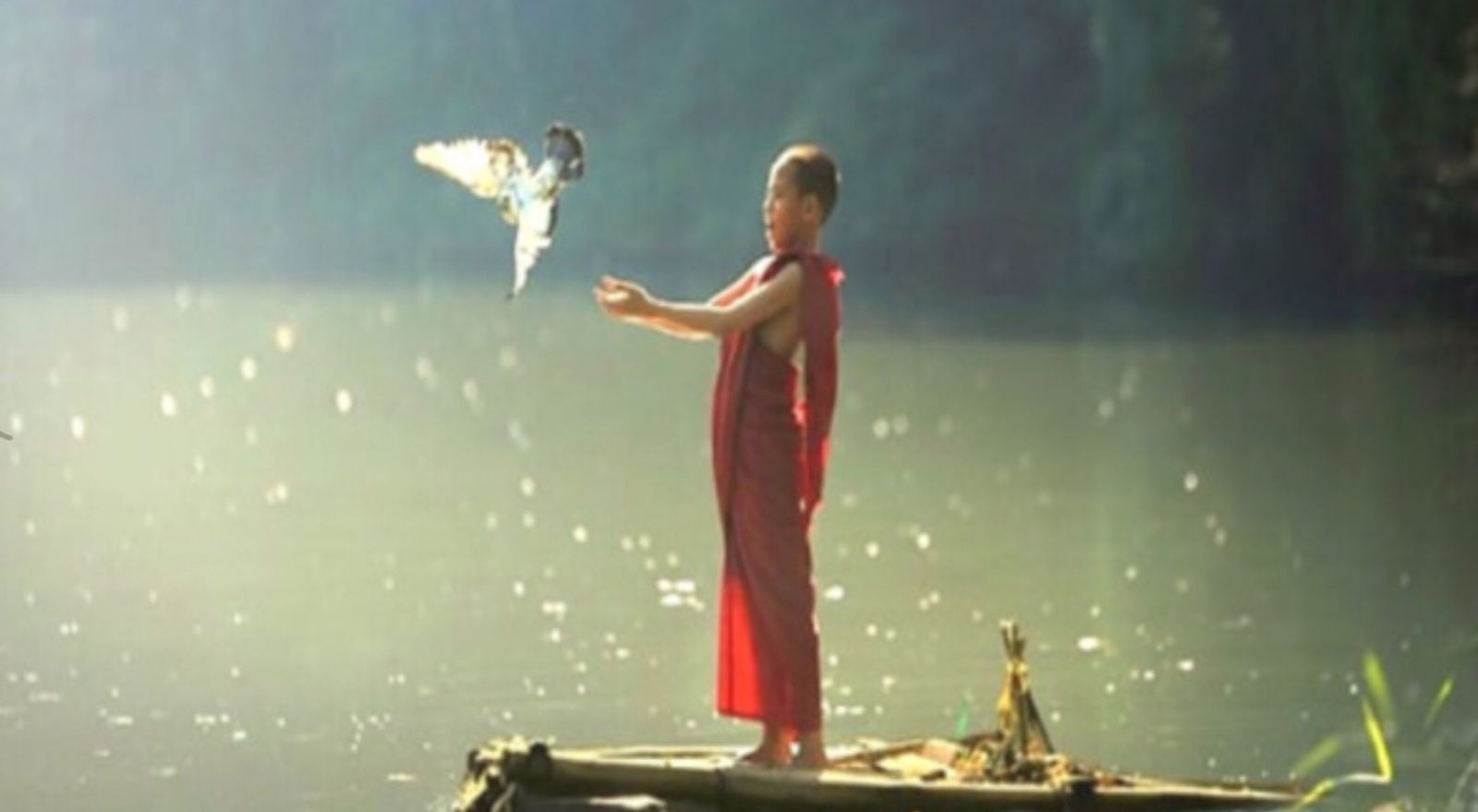 Mọi thứ trong cuộc sống đều đã được số phận an bài, càng phàn nàn chỉ càng tệ thêm