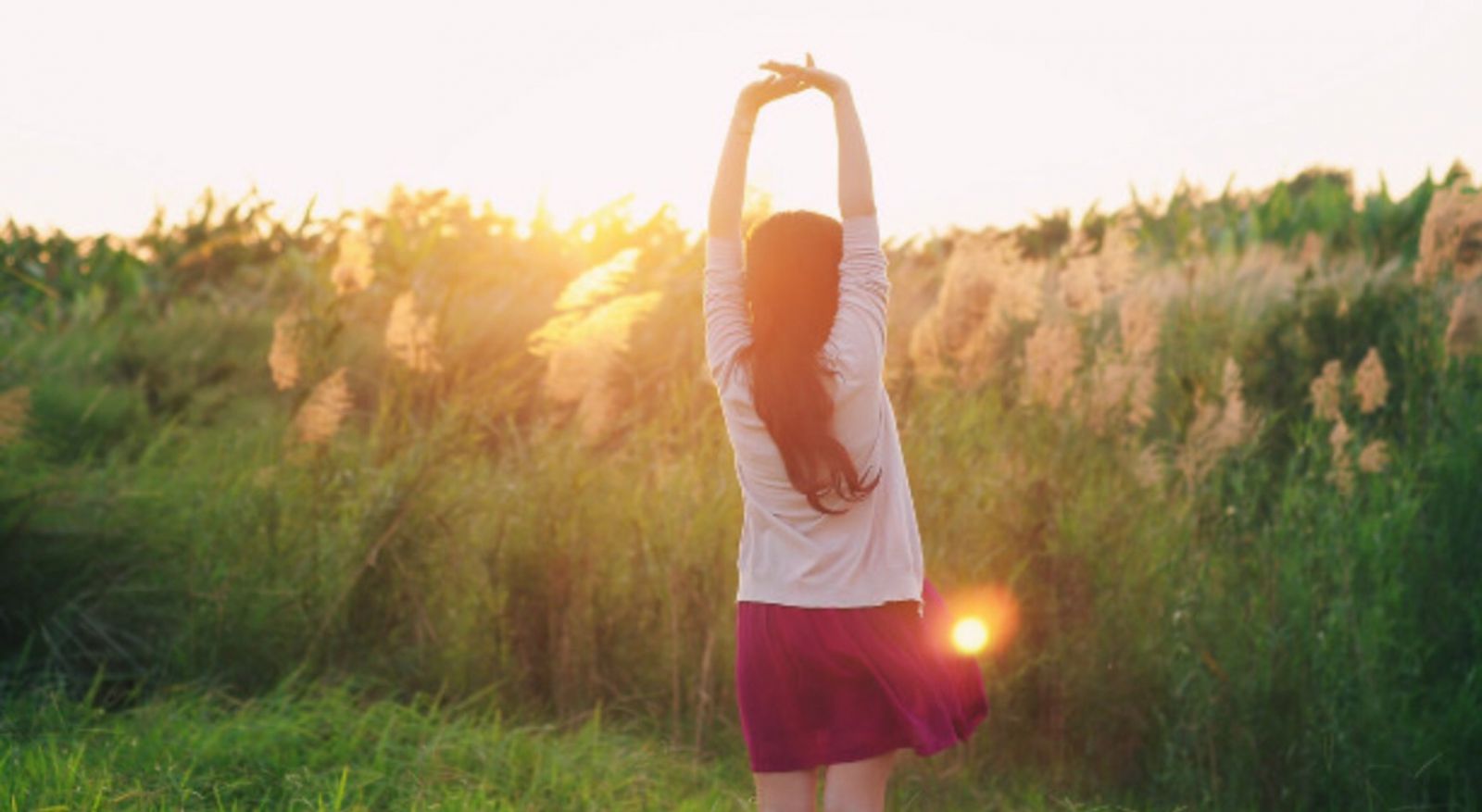 Mọi thứ trong cuộc sống đều đã được số phận an bài, càng phàn nàn chỉ càng tệ thêm 1