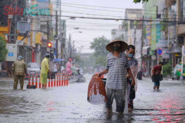Mưa ngập nội thành, người dân Đà Nẵng nô nức ra đường bắt cá để giải trí