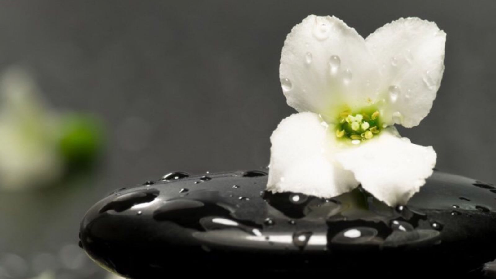 nghi-don-gian-song-don-thuan-de-co-mot-cuoc-doi-an-tinh-2 2