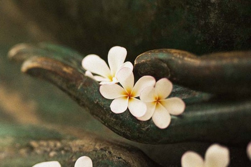 Nếu chưa từng dám “mất đi” thì chúng ta hãy thử một lần xem kết quả sẽ ra sao