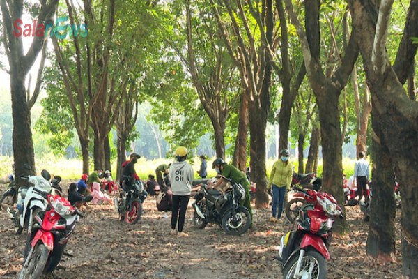 Phạt 450 triệu đồng chủ doanh nghiệp và người lao động kéo nhau đến lô cao su tụ tập