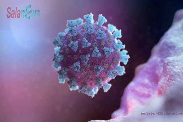 Sau biến thể Delta, Lambda... sẽ là biến thể nào?