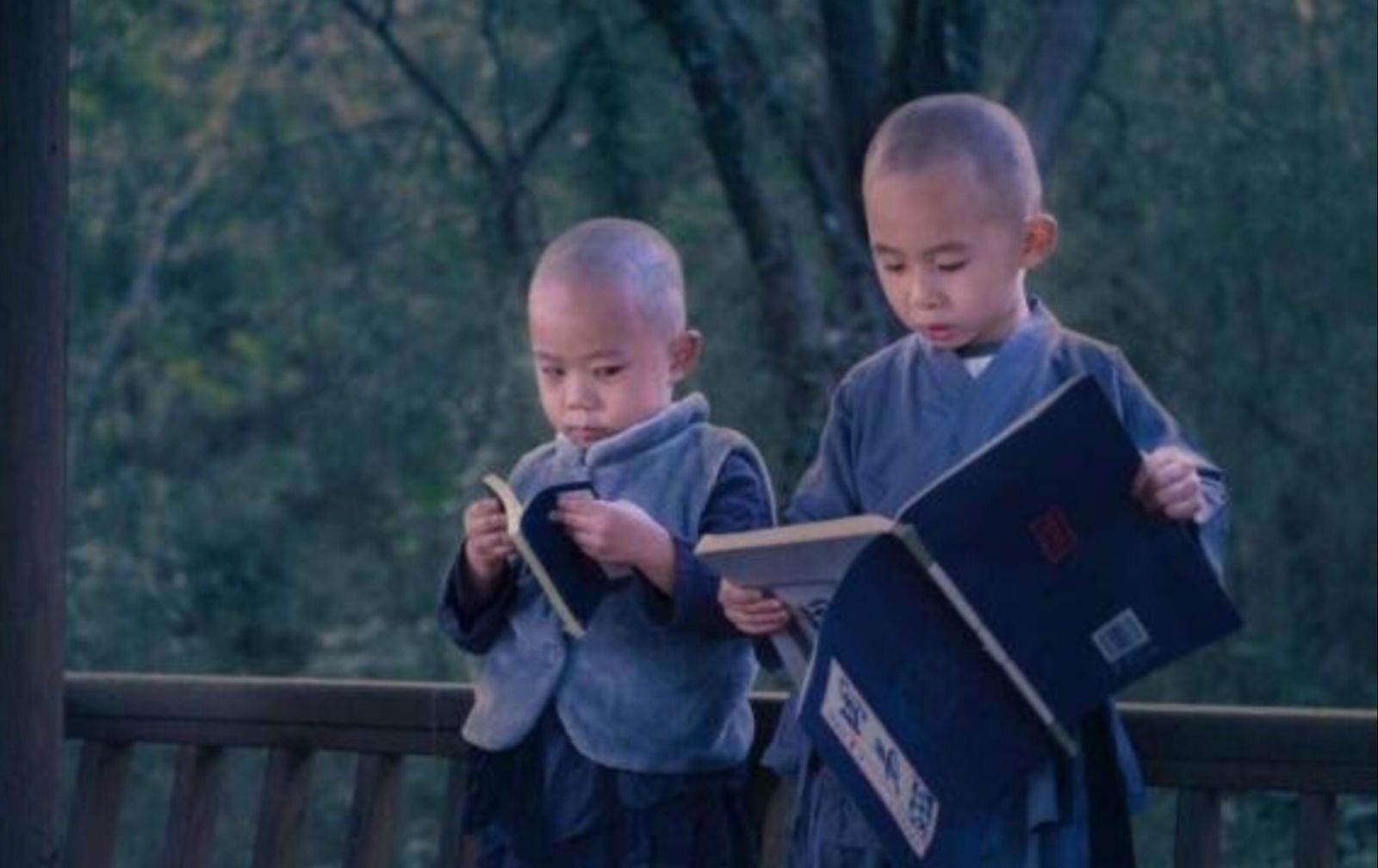 thong-minh-se-khong-bao-gio-cai-va 1