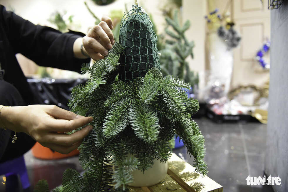 Thông tươi Mỹ giá 50 triệu vẫn 'cháy hàng' dịp Giáng sinh 7