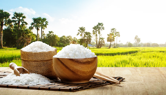 Khi chúng ta lãng phí thức ăn, phải chăng là không tôn trọng thành quả lao động của người khác?