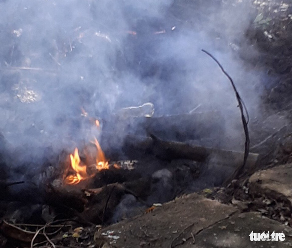 Huyện Trần Văn Thời: Tiêu hủy đàn chó là cần thiết - Ảnh 2. Huyện Trần Văn Thời: Tiêu hủy đàn chó là cần thiết - Ảnh 2.