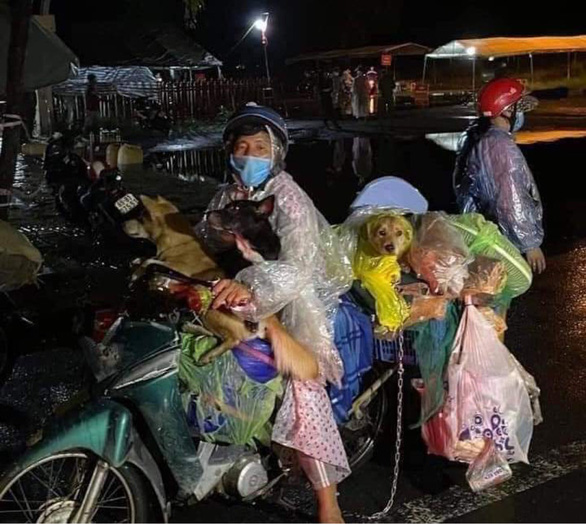 Trưởng trạm y tế nơi xảy ra vụ tiêu hủy 15 con chó xin nghỉ việc - Ảnh 2. Trưởng trạm y tế nơi xảy ra vụ tiêu hủy 15 con chó xin nghỉ việc - Ảnh 2.