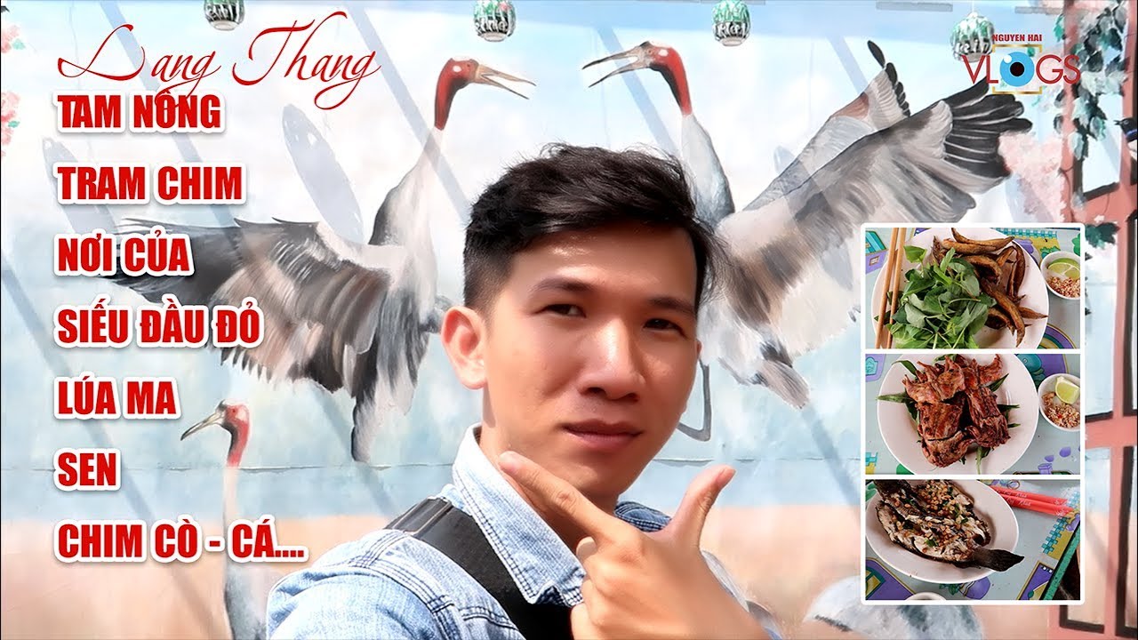 Khu du lịch Tam Nông Quốc gia Tràm Chim - Siếu đầu đỏ và câu chuyện Lúa Ma - NGUYEN HAI TV